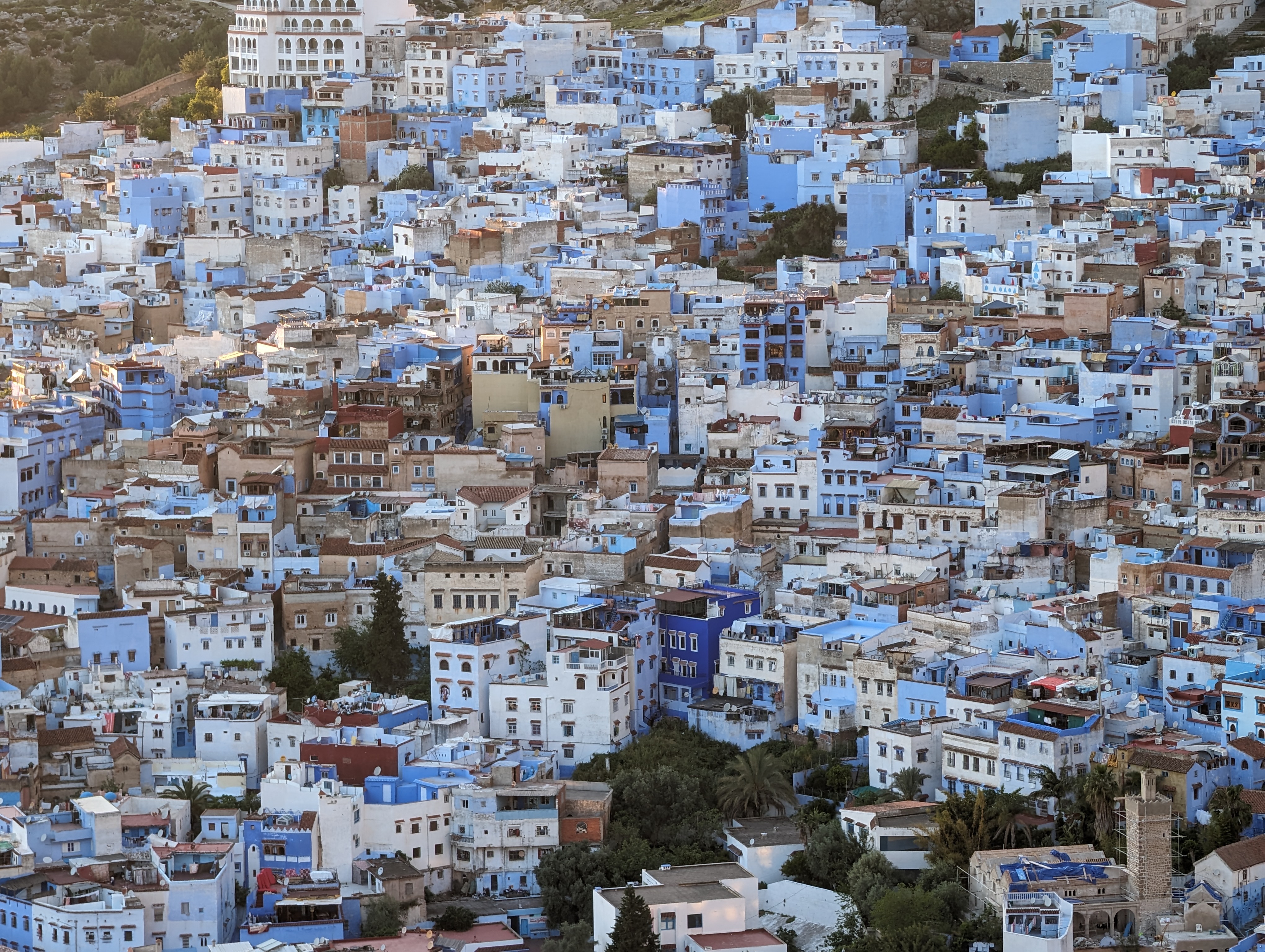 PXL 20240423 184045384