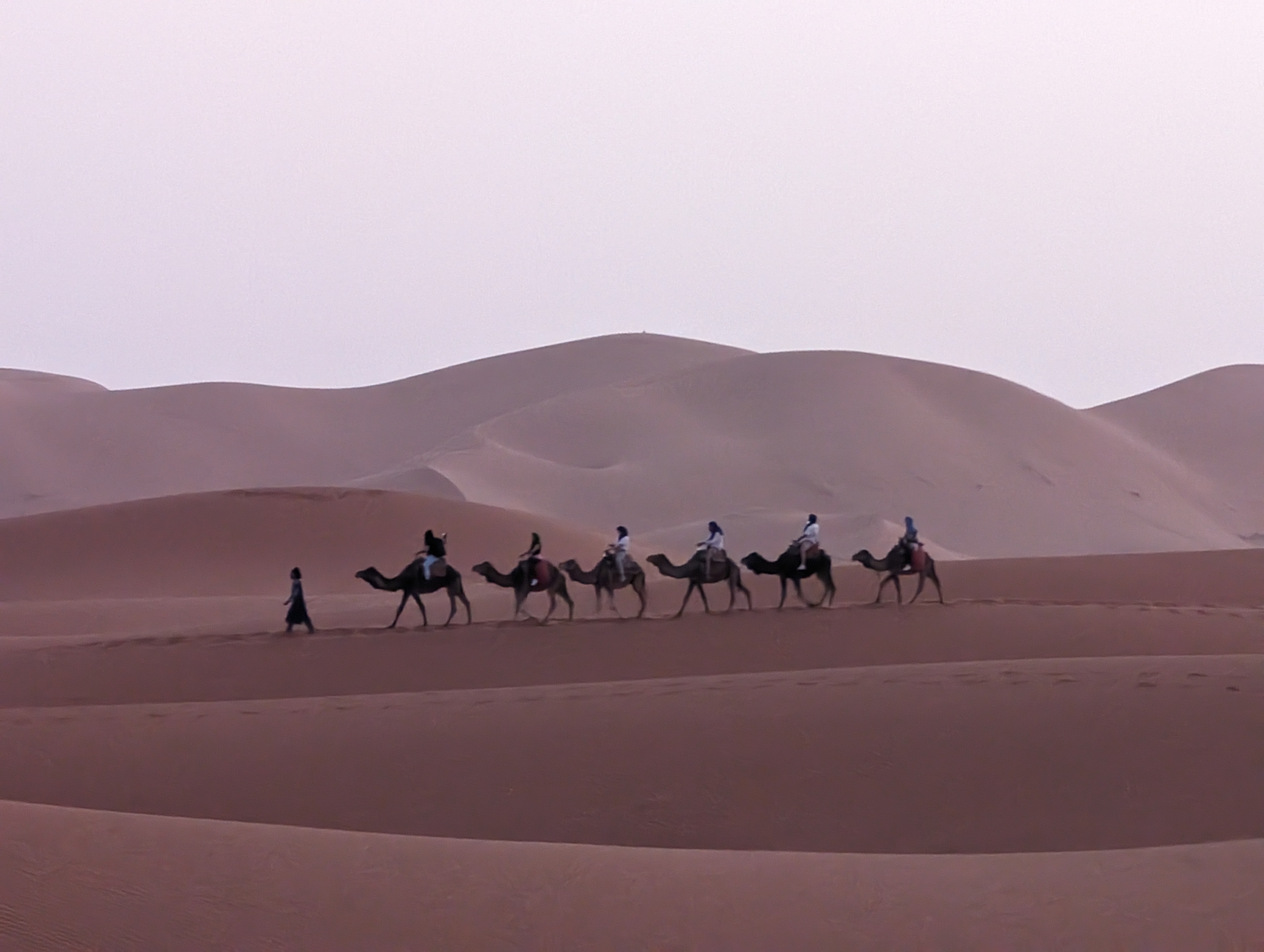 PXL 20240425 190508593