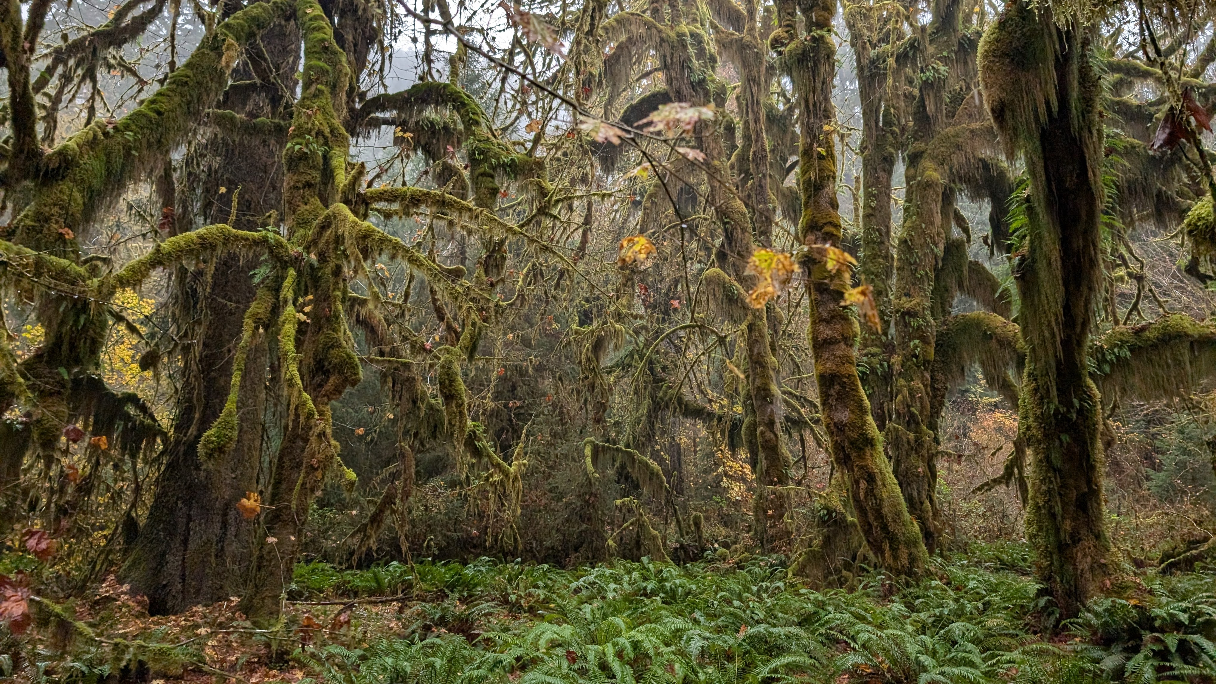 PXL 20241019 211040367.RAW 01.COVER EDIT